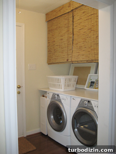 Newer front-loading dryer