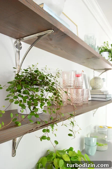 Build Long Reclaimed Wood Shelves: Step-by-Step Guide 4 reclaimed wood shelves close up with crack details