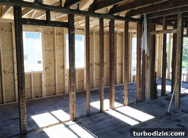 Beach House Renovation: Stripping to the Studs Guide 19 After view showing new framing and replaced studs