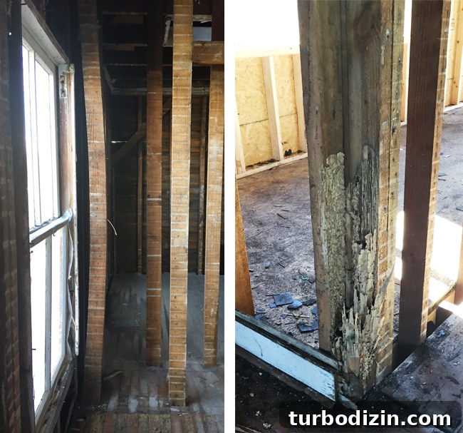 Beach House Renovation: Stripping to the Studs Guide 4 Termite damage and warped stud