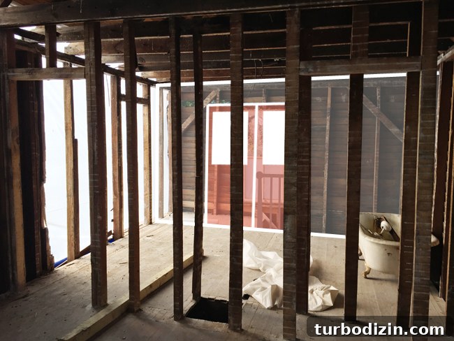 Beach House Renovation: Stripping to the Studs Guide 25 Rendering idea for double-pocket doors with glass