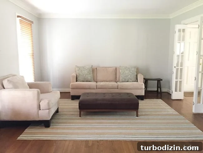 neutral living room before