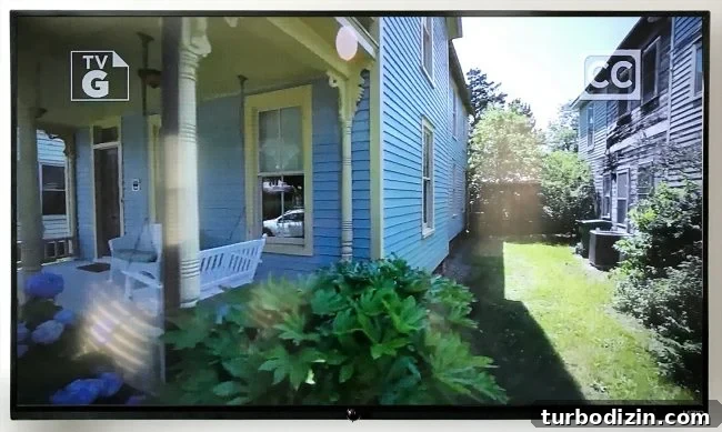 When Our Beach House Photobombed an HGTV Shoot 2 img 82099 1