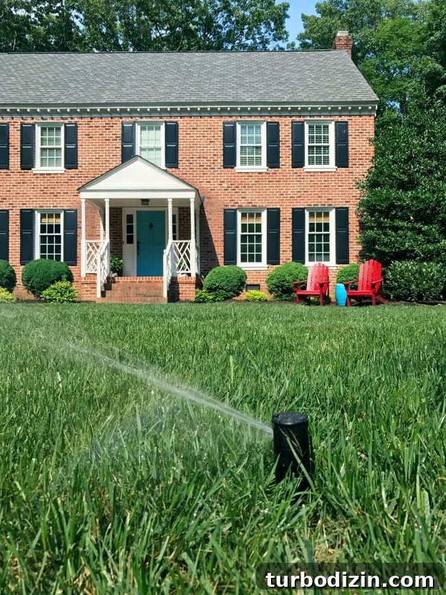 irrigation system sprinkler head spraying lawn close-up