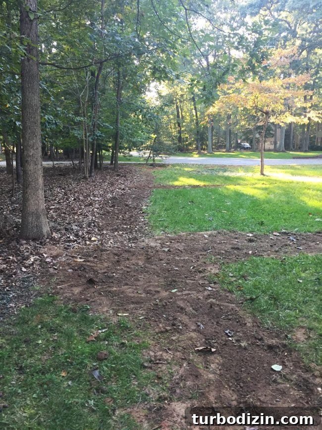 irrigation system install trenches filled in