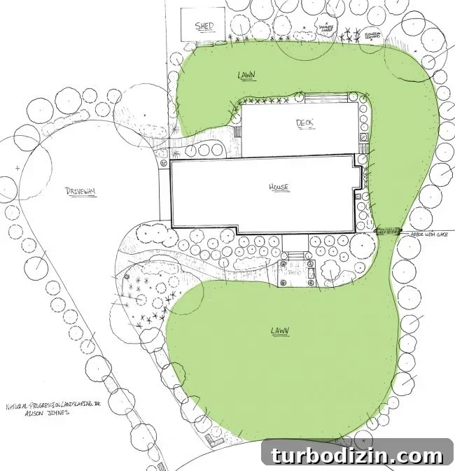 landscape architect drawn landscape plan