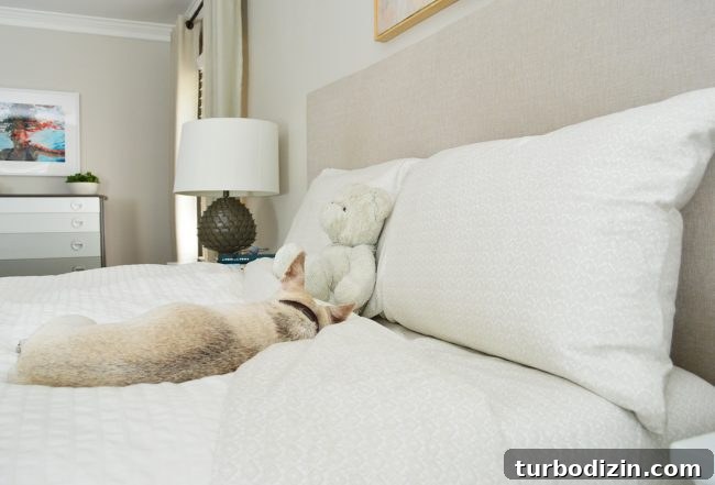 Why We Want to Demo Our Deck: Reasons, Costs, and What’s Next 4 bedroom sheets and pets