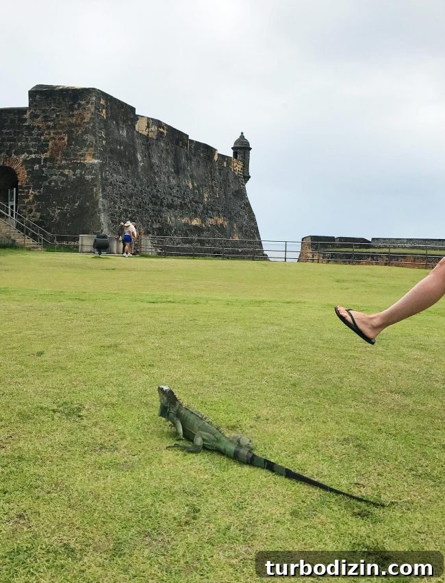 Old San Juan