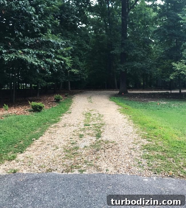 Before paving with weeds