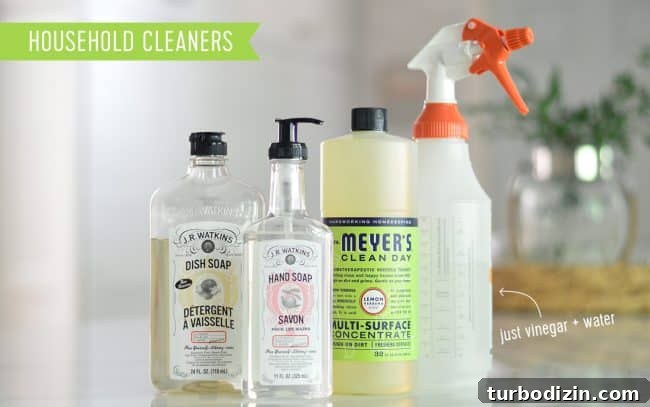 Top Eco-Friendly Household Cleaners and Personal Care Picks 2 Natural Household Cleaners By JR Watkins And Mrs Meyers