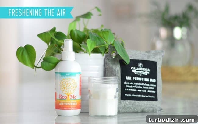 Top Eco-Friendly Household Cleaners and Personal Care Picks 4 Natural Air Fresheners Candle Charcoal Bag