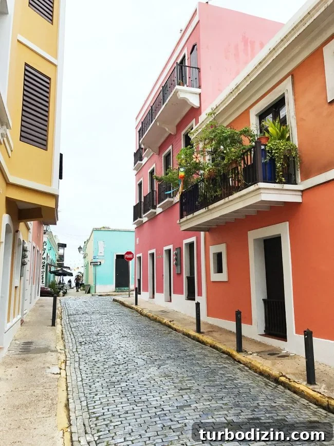Support and Relief for Puerto Rico: How to Help Now 3 Relief efforts in Puerto Rico