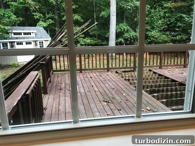 What We Wish We'd Done Differently in Our Home Renovations 3 img 84112 2