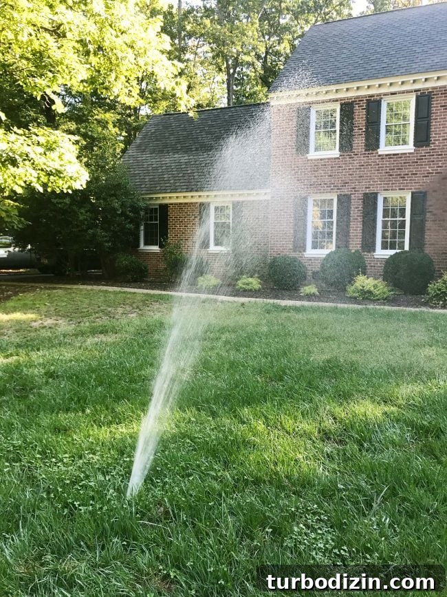 yard water leak