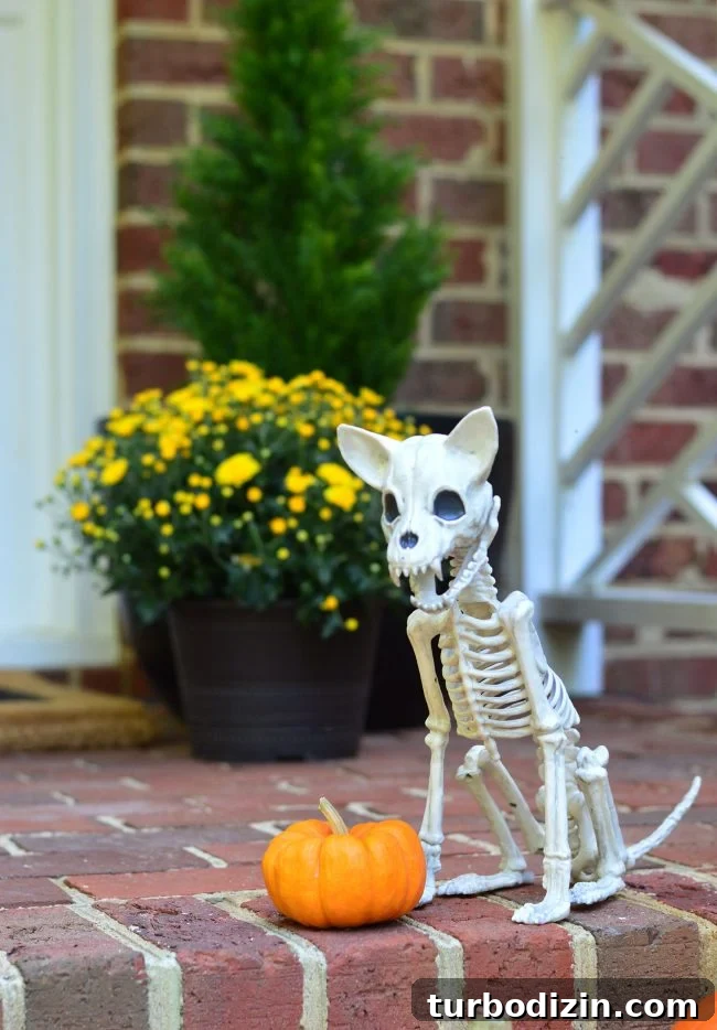 3 Quick Front Porch Updates to Boost Curb Appeal 15 Halloween Porch Chihuahua Dog Skeleton Decor