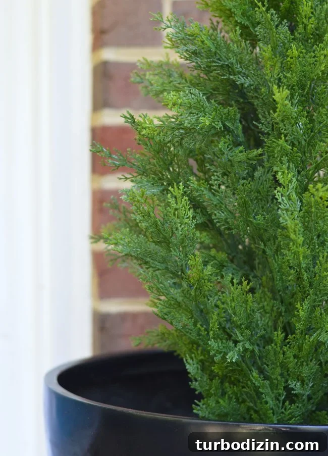 3 Quick Front Porch Updates to Boost Curb Appeal 6 Fake Plant Evergreen Porch Planting Detail
