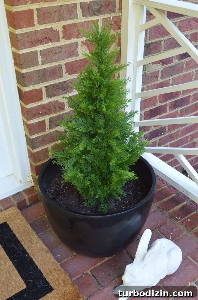3 Quick Front Porch Updates to Boost Curb Appeal 7 Front Porch Fake Plant Evergreen Overhead