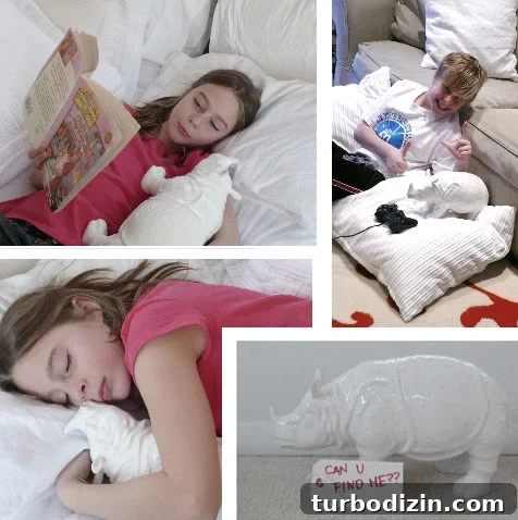rhino-surprise-olivia-jakob-zgallerie rhino-surprise-olivia-jakob-zgallerie
