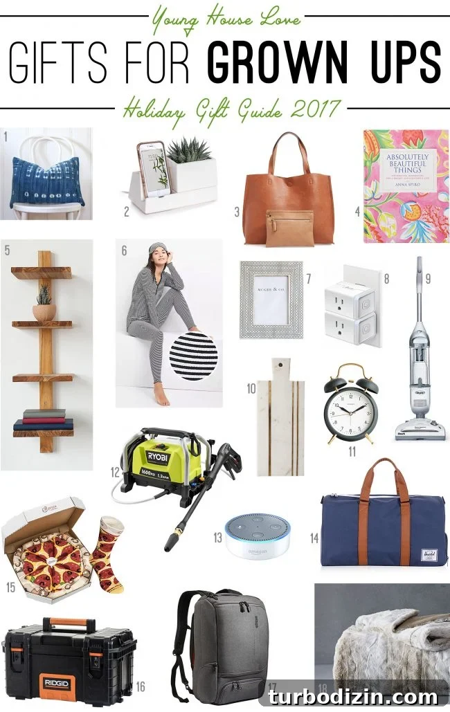 2017 Holiday Gift Guide: Top Gift Ideas for Everyone 2 img 84852 1