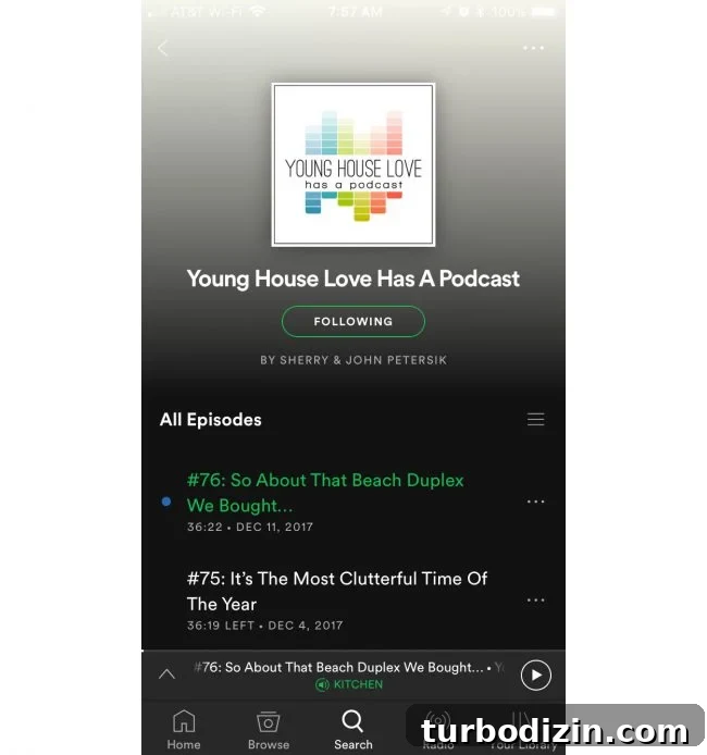 Podcast episode image