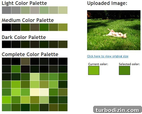 burgergreencolorspalettegenerator burgergreencolorspalettegenerator
