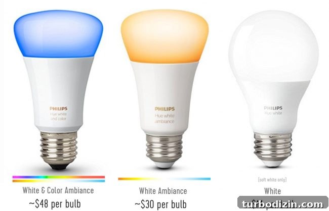 Living in a Tiny House: Real-Life Stories and Challenges 4 Philips Hue comparison