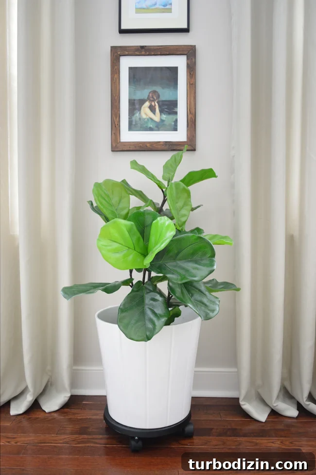 10 Home Items We've Owned for Over 10 Years 11 img 85331 19