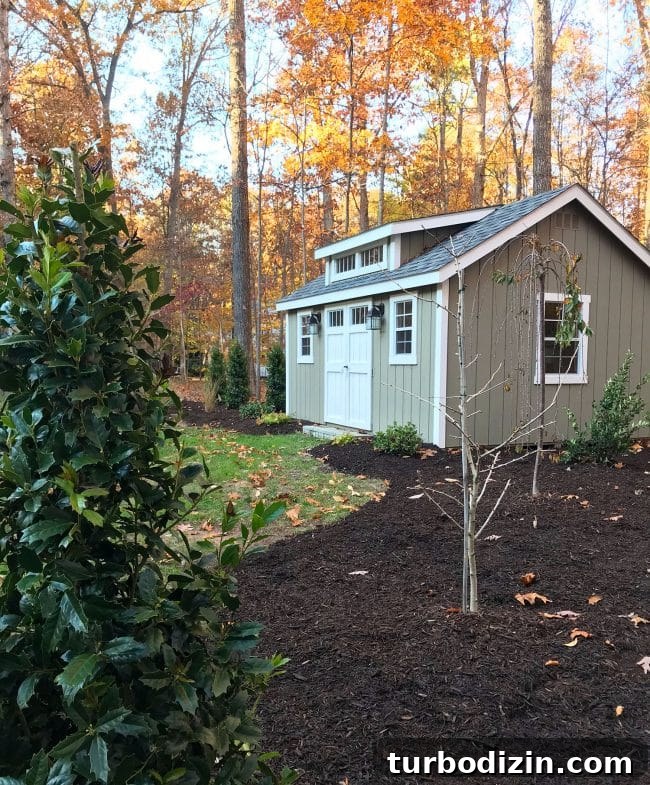 How Our Life Together Almost Didn’t Happen — Episode 86 2 Backyard ornamental trees