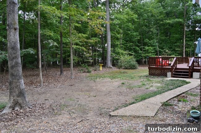 How Our Life Together Almost Didn’t Happen — Episode 86 3 Backyard before