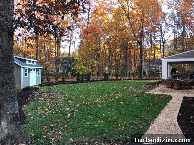 How Our Life Together Almost Didn’t Happen — Episode 86 4 Backyard with gravel and plants