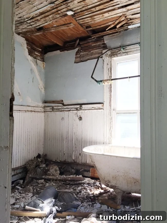 When a Project Starts to Fail: How to Recover and Redirect It 6 Refinish Clawfoot Tub Before Photo