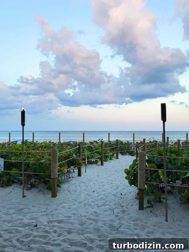 Family Spring Break in Fort Lauderdale: Beaches, Food & Fun Ideas 12 View of ocean from dining table at Ocean Grill Restaurant and Tiki Bar in Pompano Beach Florida
