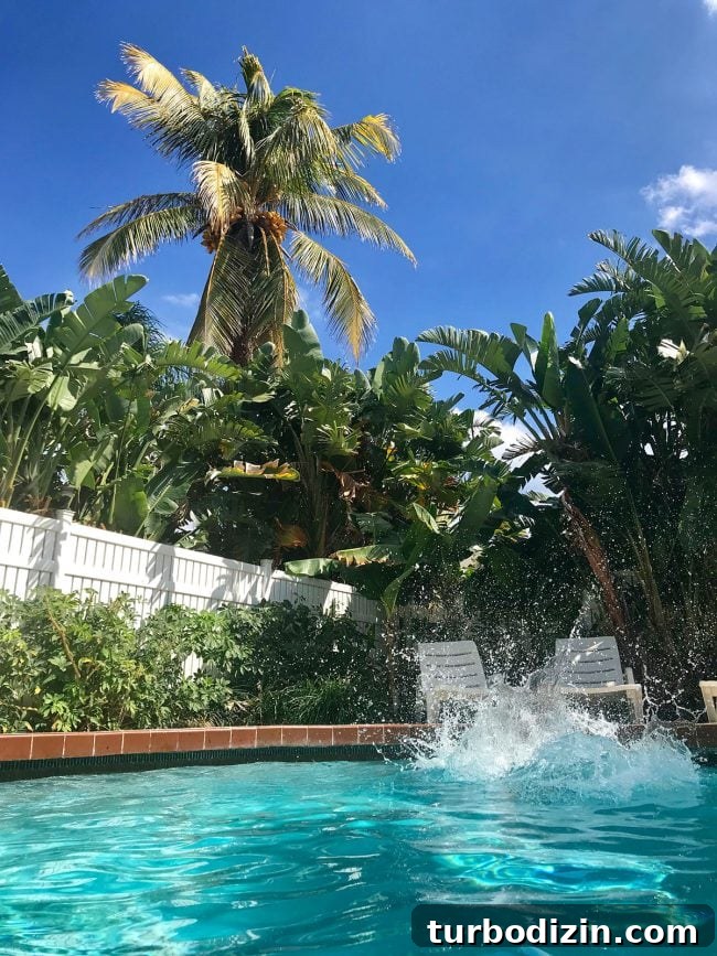 Family Spring Break in Fort Lauderdale: Beaches, Food & Fun Ideas 6 big splash in private pool with large palm tree in background
