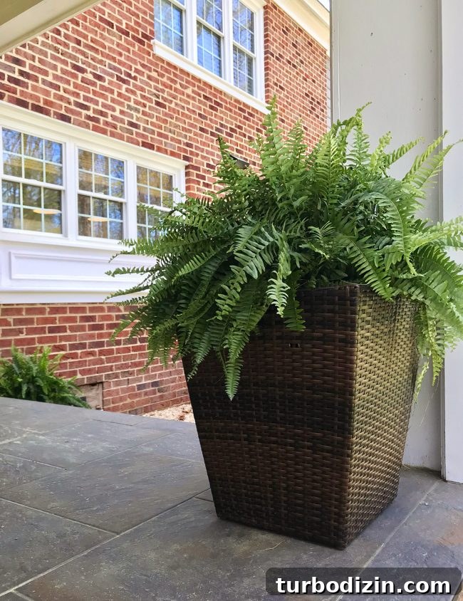 30-Day No-Extra-Shopping Challenge: Can We Do It? 7 Outdoor planters being prepared