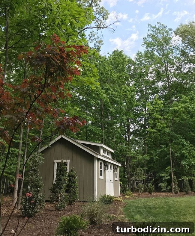Episode 96: Why We Hold On to Things — The Psychology of Stuff 2 Backyard progress