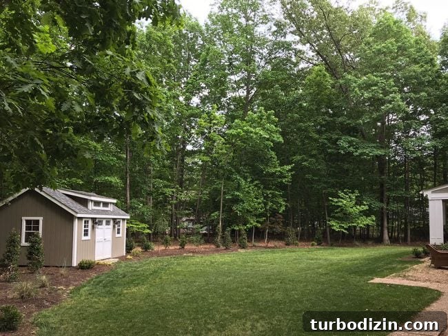 Episode 96: Why We Hold On to Things — The Psychology of Stuff 5 Backyard current view