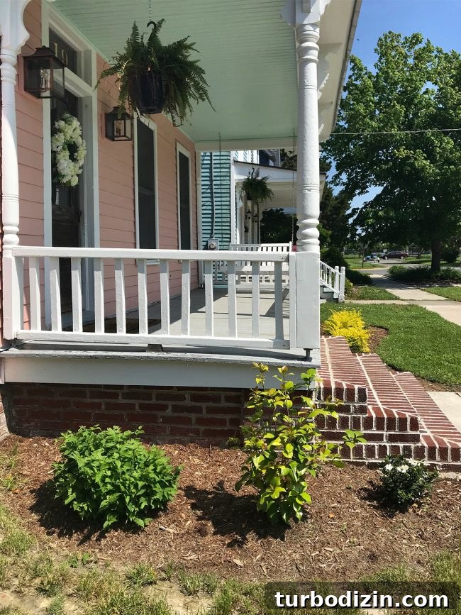 Simple Landscaping Updates to Transform Your Yard Quickly 11 Regrowing shrub on left