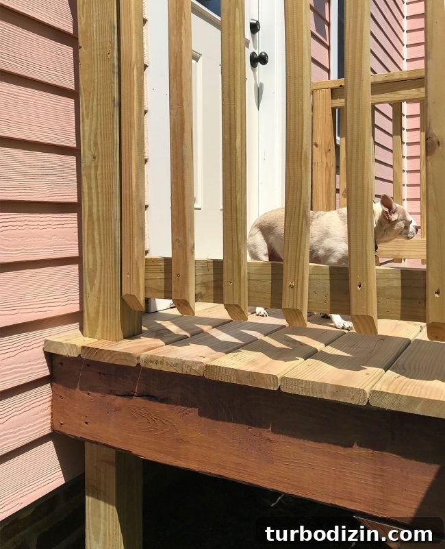 Staircase after initial stain