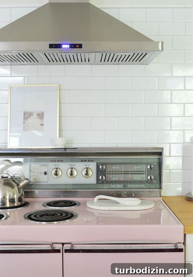 Ol' Pinkie vintage pink stove
