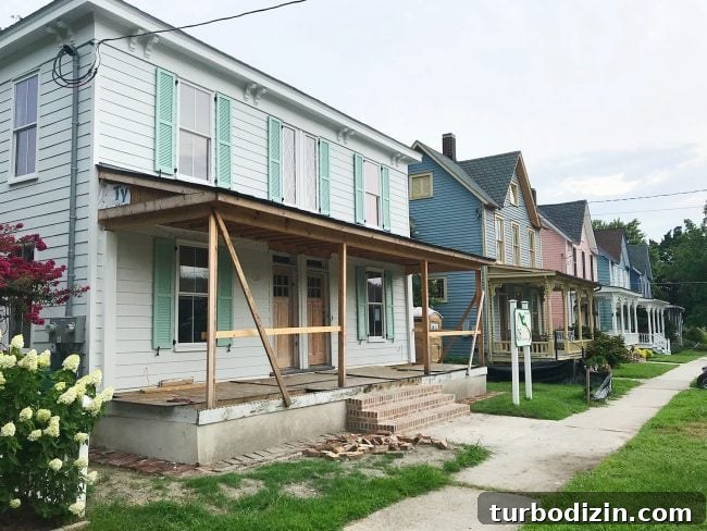 Historic Beach House Shutters: Styles, Materials, and Buying Guide 2 img 87568 1