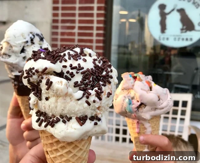 Cape Charles, Virginia: Your Complete Guide to the Beach Town 15 ice cream cones at brown dog ice cream in cape charles virginia