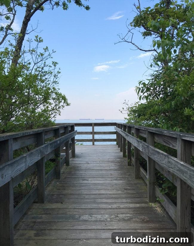 Cape Charles, Virginia: Your Complete Guide to the Beach Town 20 boardwalk hike in cape charles natural preserve area