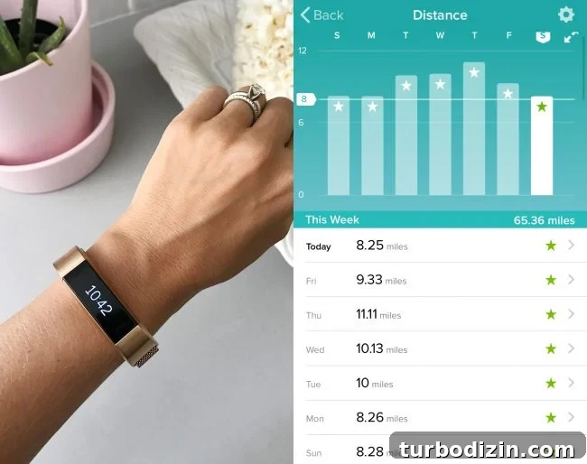 Episode 110: How a Burst Pipe Flooded Our Bathroom—and What We Did Next 12 Fitbit Alta HR with rose gold band
