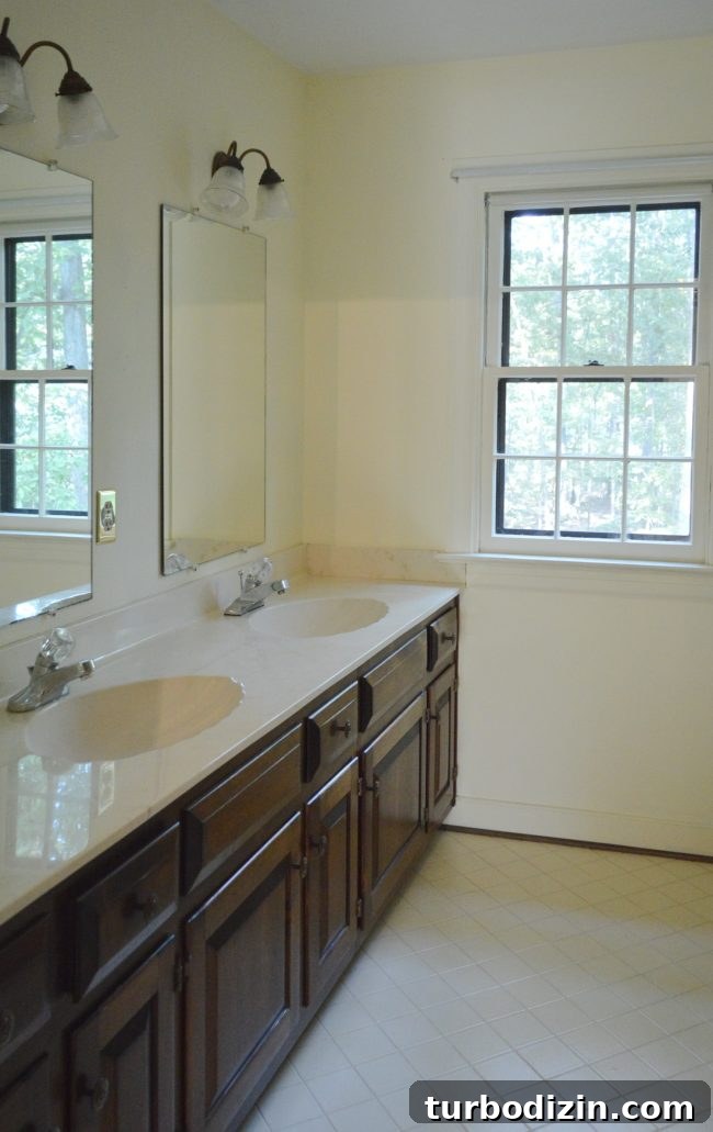 Episode 110: How a Burst Pipe Flooded Our Bathroom—and What We Did Next 10 Hall bathroom before