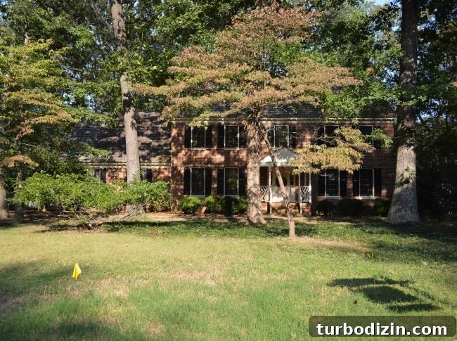 before photo of brick house covered by trees 