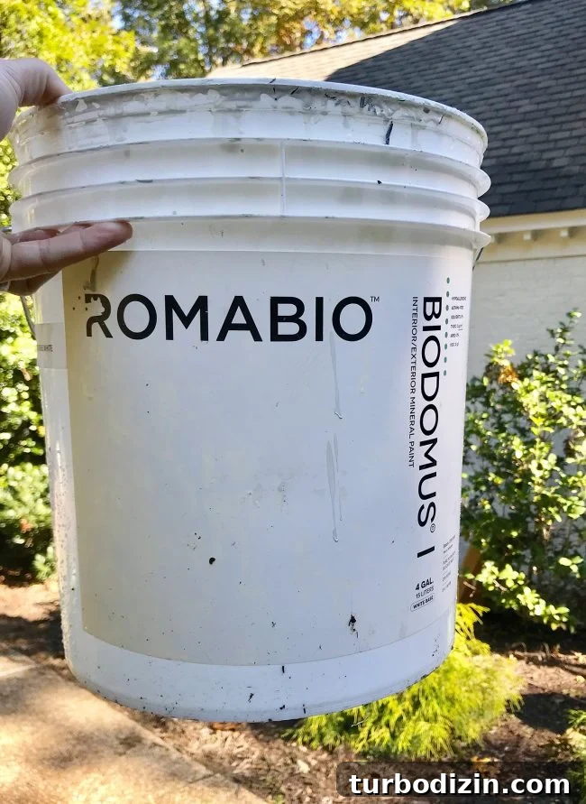 bucket of biodomus I brick mineral paint by romabio