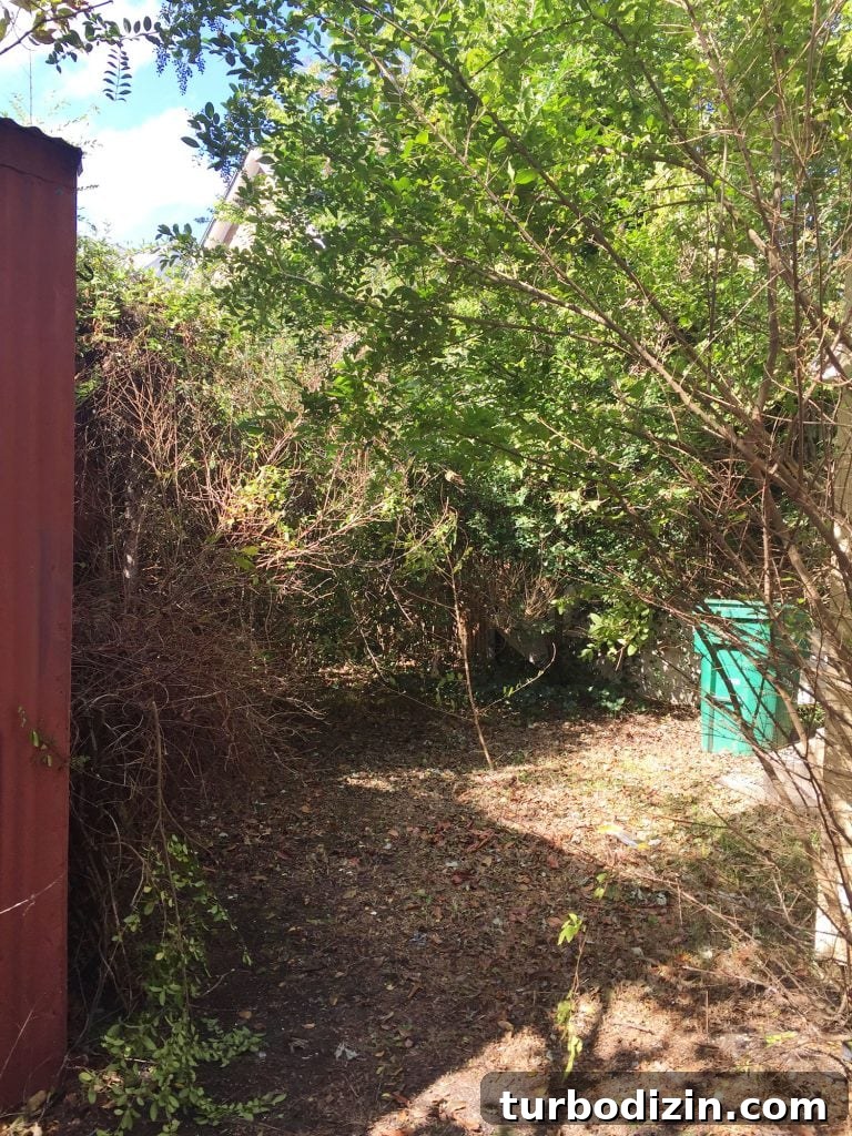 Beach House Before and After: Upstairs Transformation 28 This image has an empty alt attribute; its file name is Beach-House-Backyard-Before-Vertical-768x1024.jpg