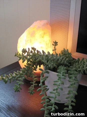 salt-lamp-negative-ions salt-lamp-negative-ions