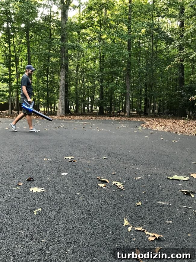 Are Our Design Choices Driven Only by the Blog? 5 Leaf blowers
