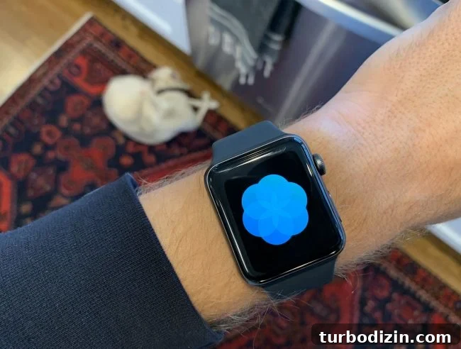 Basketball Baskets: Friend or Foe for Players and Teams? 8 Apple Watch Series 3 on wrist